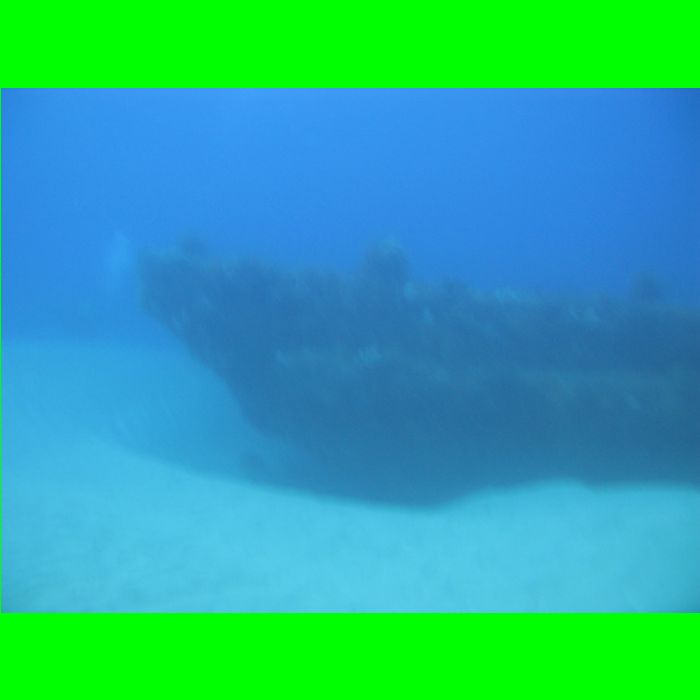 Dive WP Wrecks 25-Oct-09_416.JPG